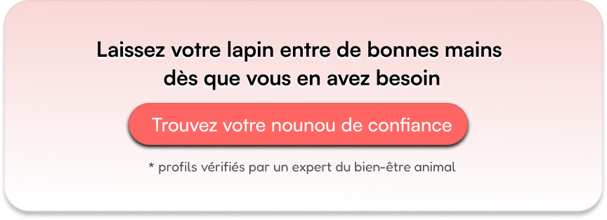 Laissez votre lapin entre de bonnes mains dès que vous en avez besoin