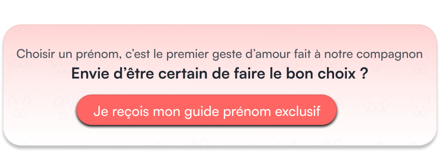 Choisir un prénom, c’est le premier geste d’amour fait à notre compagnon
