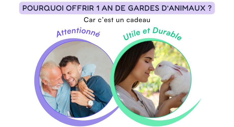 Les avantages à offrir 1 an de gardes d'aniaux gratuites dans le réseau Mon Bibou