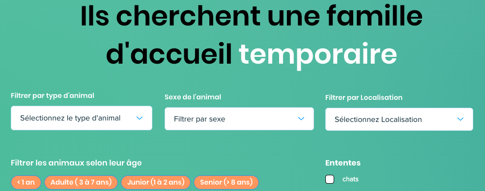 Accueillez un animal en attente d'adoption