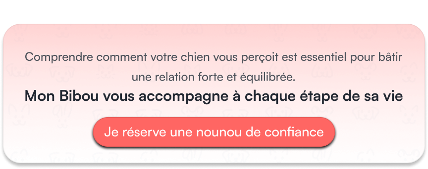comment comprendre son chien avec Mon Bibou