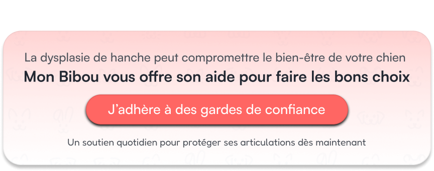Mon Bibou vous offre un soutien expert pour faire les bons choix