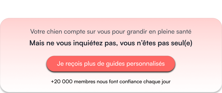 Mon bibou vous accompagne à chaque instant de la vie de votre chien