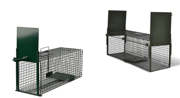cages_trappage_animaux