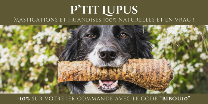 ptit lupus mastications et friandises naturelles