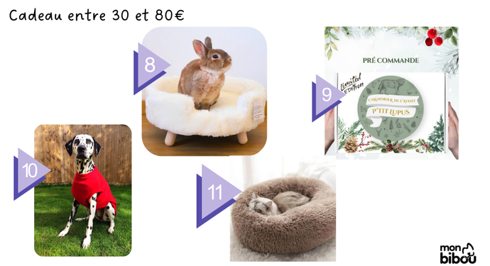 cadeau pour animal entre 30 et 80 euros