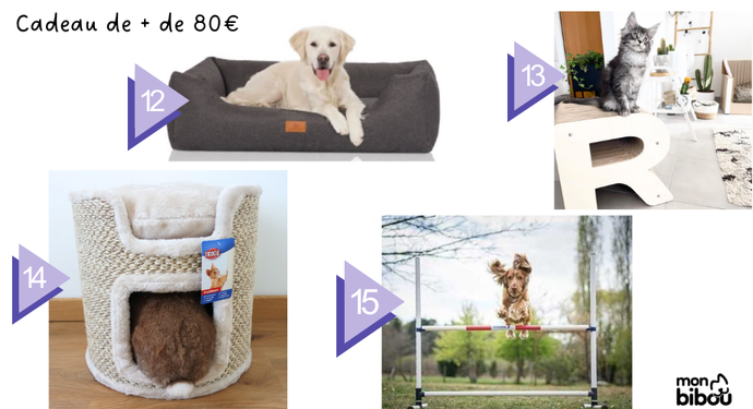 cadeau pour animal à plus de 80 euros