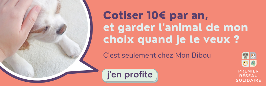 devenir_gardien_chat