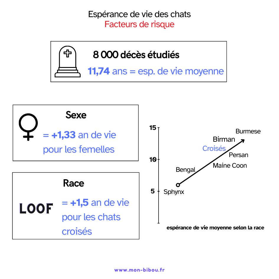 esperance de vie des chats facteurs de risque 