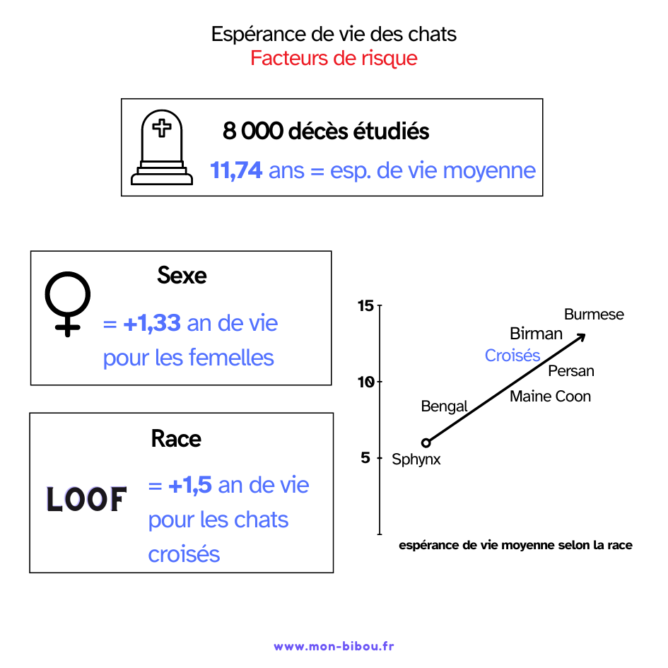 facteurs de risque de l'espérance de vie des chats