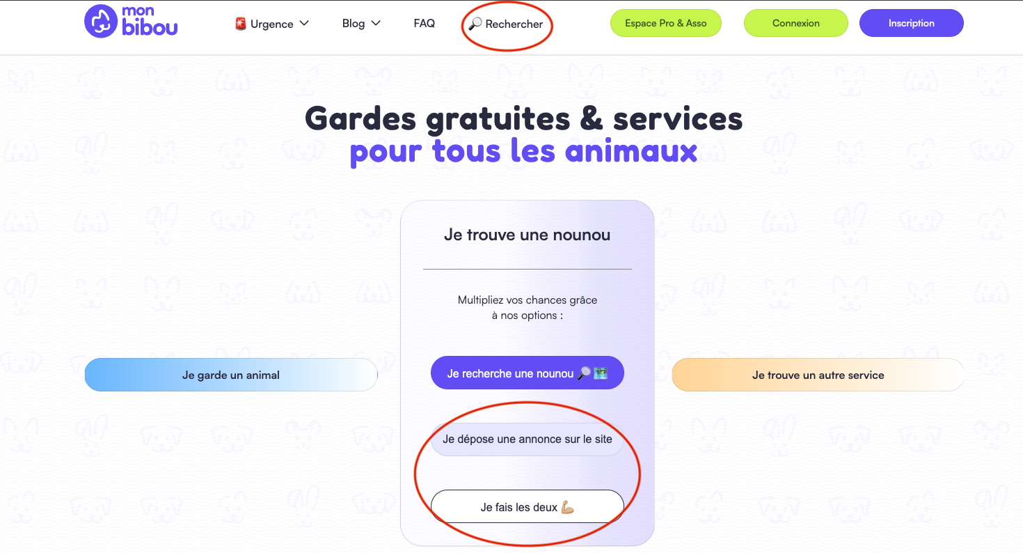 onglets je dépose une annonce page accueil