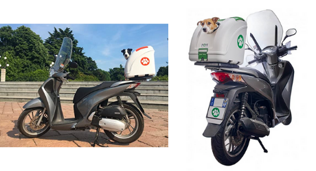 boite de transport pour animaux à mettre sur une moto