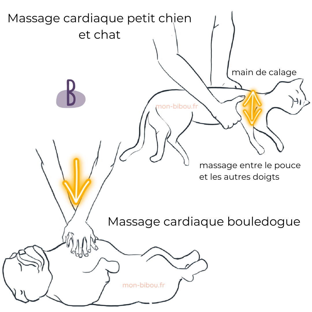 massage_cardiaque_chat