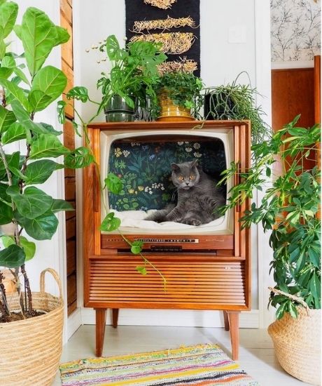 recyclage tv pour amenagement de cachette pour chat