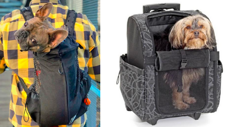 deux photos avec un bulldog français dans un sac à dos léger et un yorkshire dans un sac de transport à mettre sur le dos