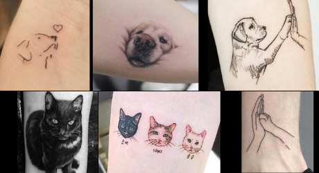 présentait de différents tatouages en l'honneur de son chat ou chien